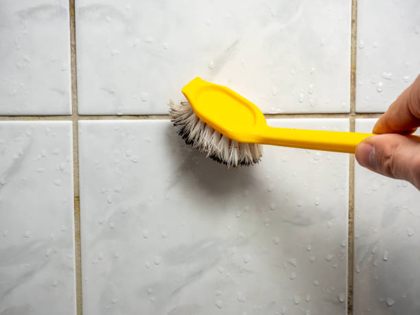 Best Mold Cleaning Services  in Belvedere Park, GA