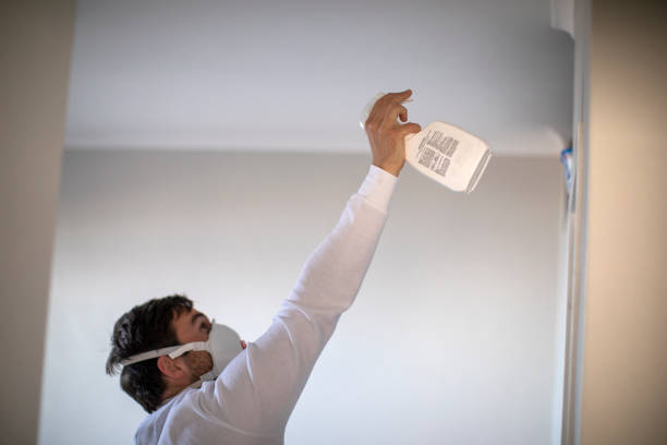Best Residential Mold Removal  in Belvedere Park, GA