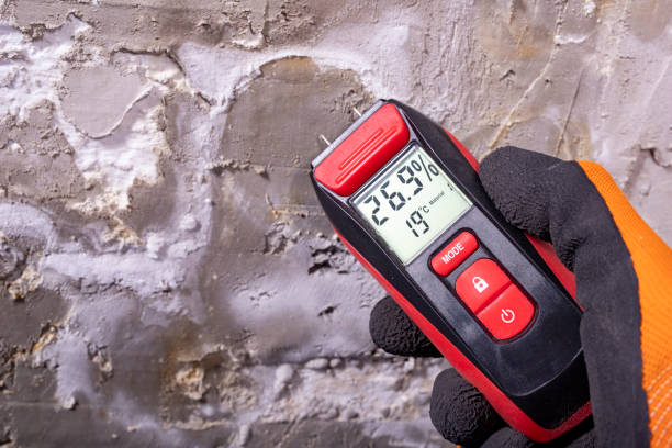 Best Local Mold Removal Service  in Belvedere Park, GA