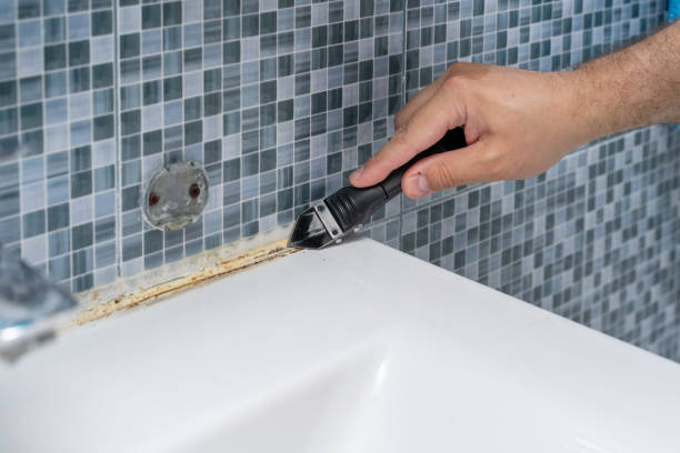 Professional Mold Removal in Belvedere Park, GA