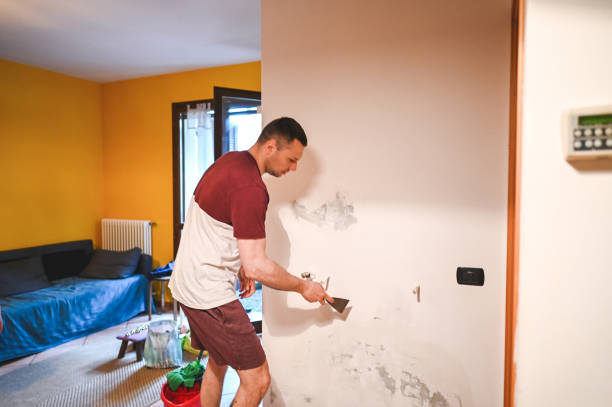 Best Home Mold Removal  in Belvedere Park, GA